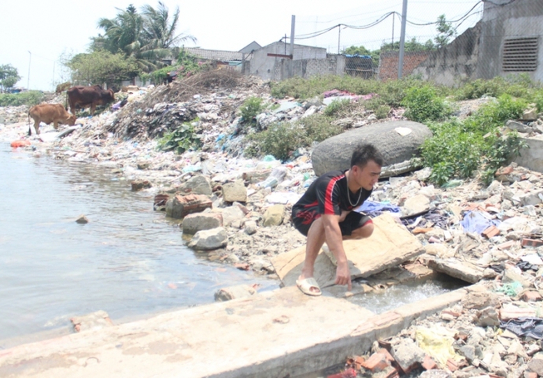 Lại- xuất- hiện- c&aacute;- chết- ở- cửa- s&ocirc;ng- ra- biển.