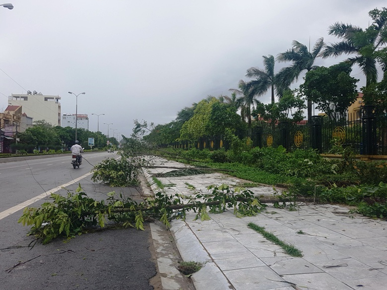 b&atilde;o số 2 (8)