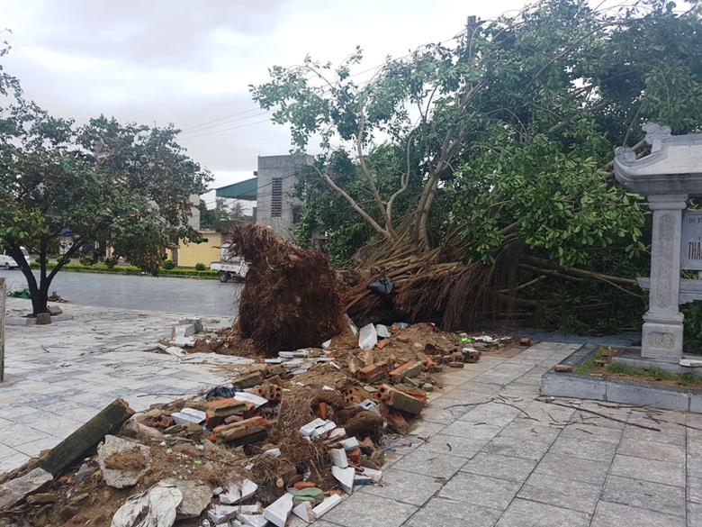 b&atilde;o số 2 (10)