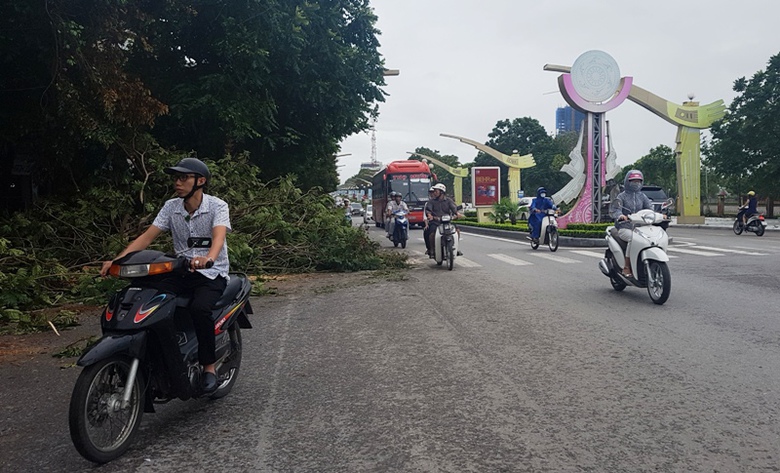 b&atilde;o số 2 (15)