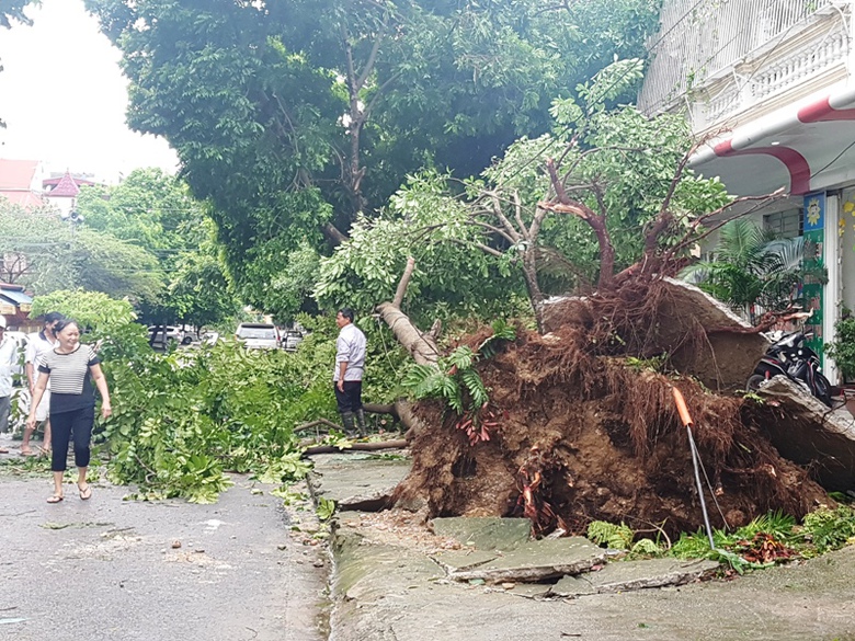 b&atilde;o số 2 (13)