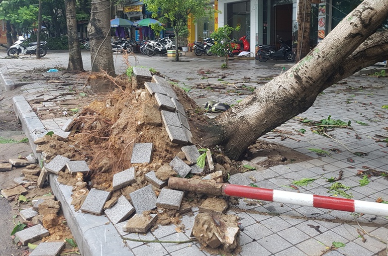 b&atilde;o số 2 (14)