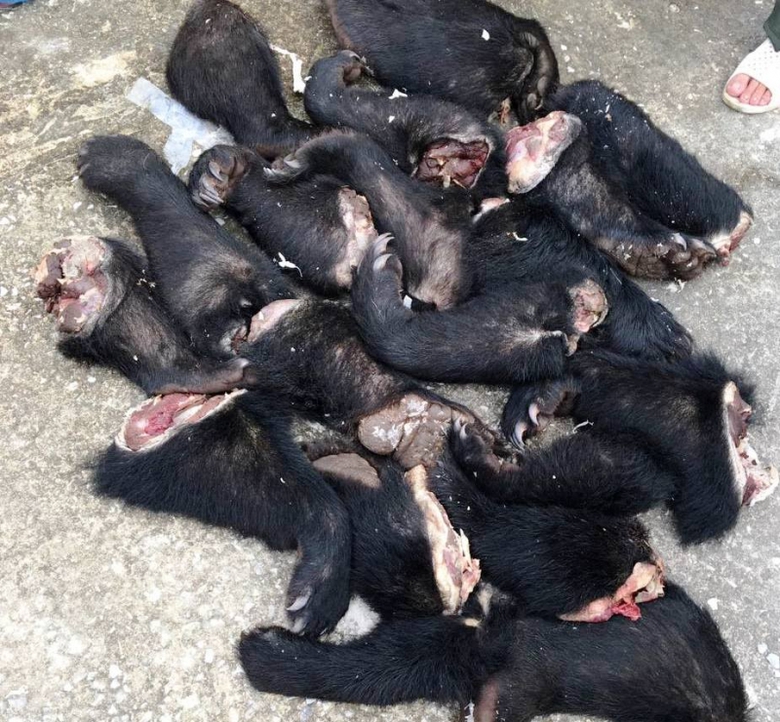 22689953_1884525008229392_2001162826_o