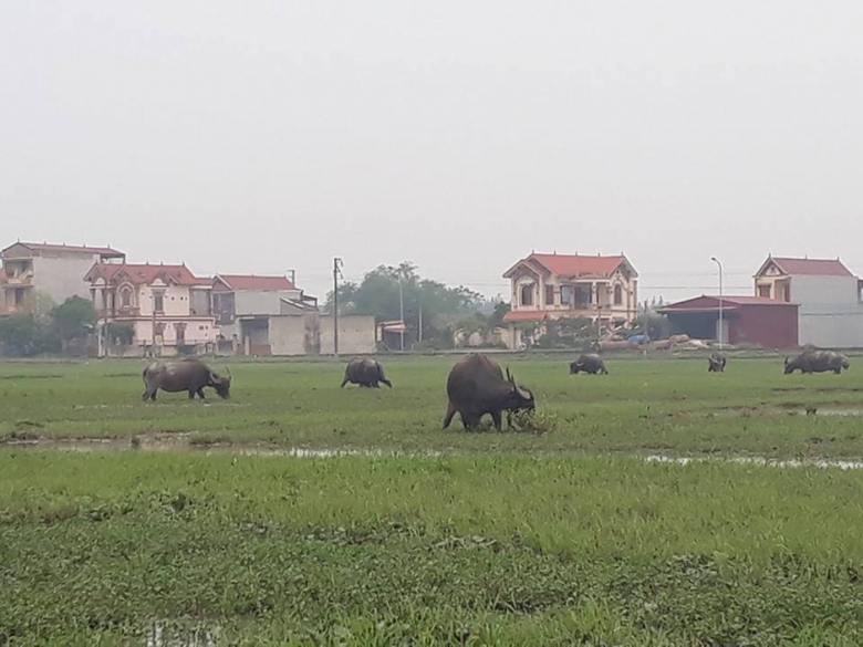 30859231_1662534387134936_356574602_n