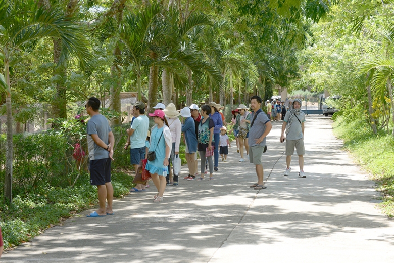 1Đường v&agrave;o trung t&acirc;m Hầm H&ocirc;