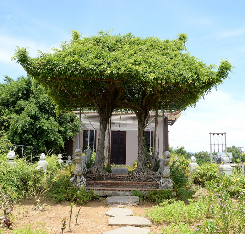 5 C&acirc;y cảnh được uốn gh&eacute;p h&igrave;nh cổng l&agrave;ng cổ k&iacute;nh.