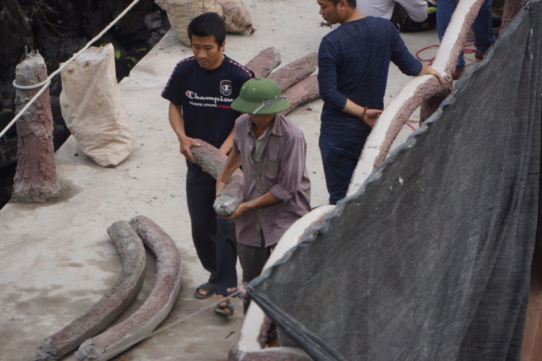 29748054_1588976964554034_163046220_o