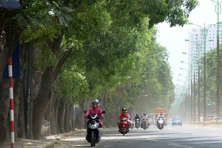 Hang_Cay_Pham_Van_Dong_42