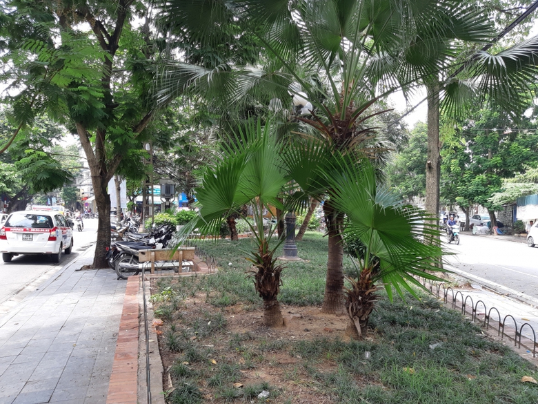 Đề xuất x&acirc;y hồ chống ngập