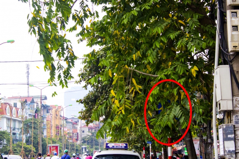 Biển b&aacute;o th&aacute;ch đố người đi đường ở Thủ đ&ocirc;