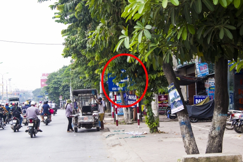 Biển chỉ dẫn lấp l&oacute; sau những t&aacute;n c&acirc;y tr&ecirc;n đường V
