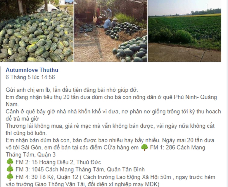 cong-dong-mang-giai-cuu-dua