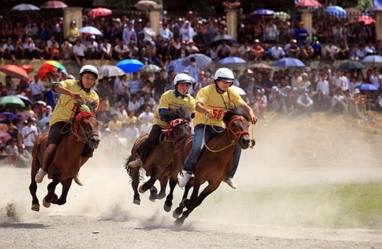 kinh-doanh-dat-cuoc-the-thao