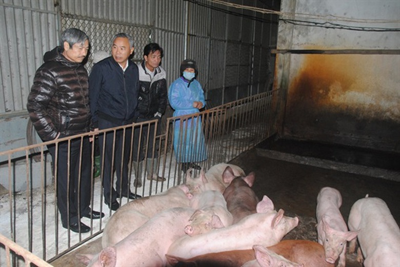 dich_lo_mom_lon_mong