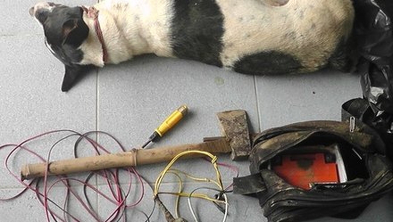 trom-cho-6-1403459942278-1451641330