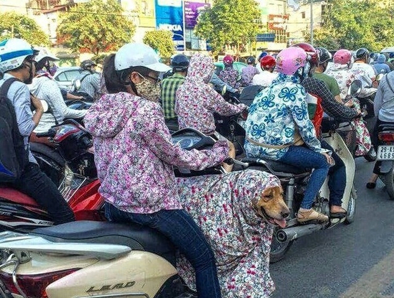 kh&aacute;m ph&aacute; to&agrave;n bộ đảo v&agrave; lặn biển ngắm san h&ocirc;