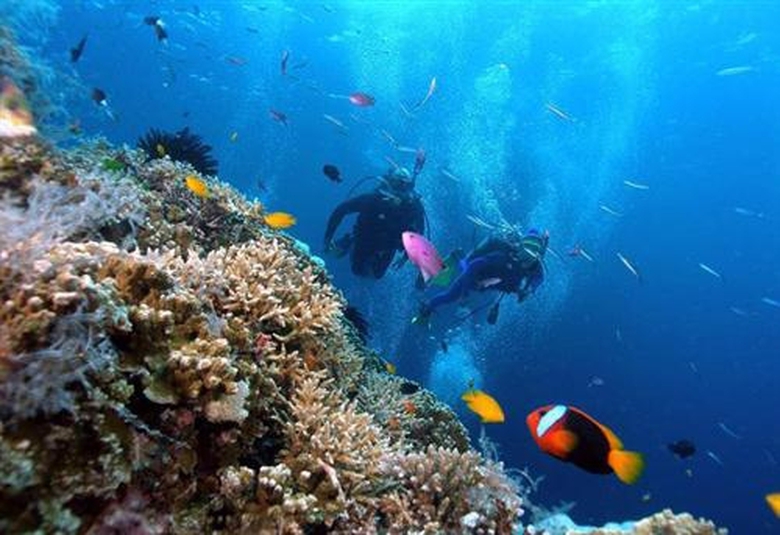 Đảo H&ograve;n Mun