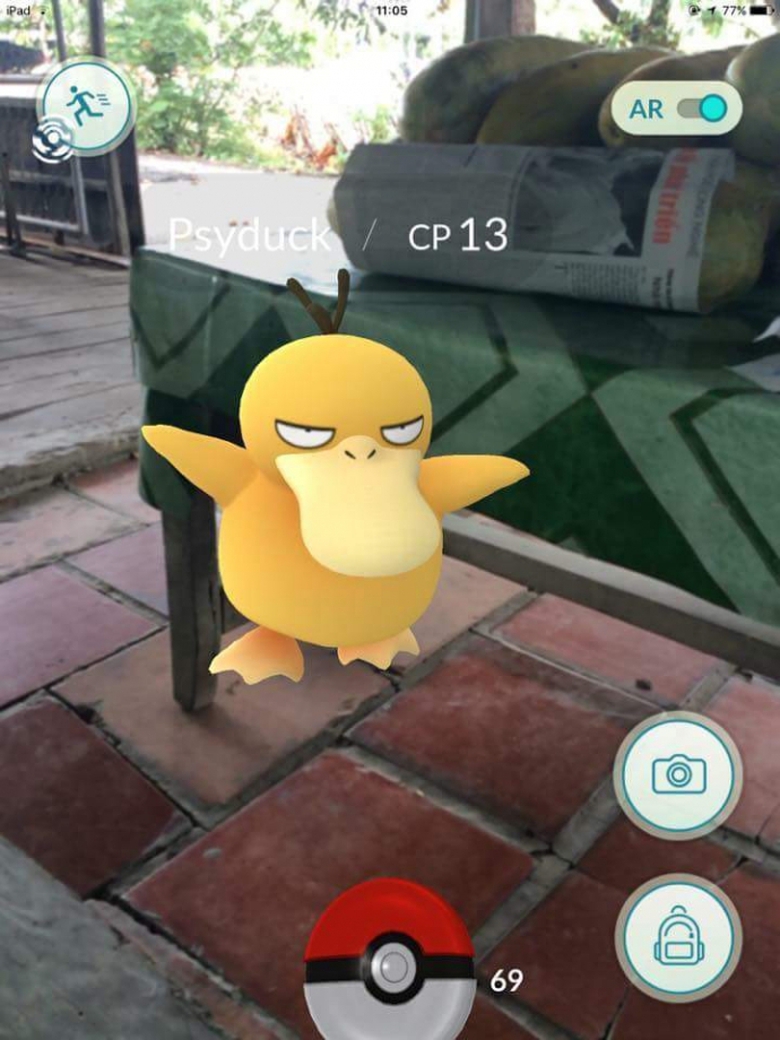 13567086_1768119330089989_3058887323712771104_n