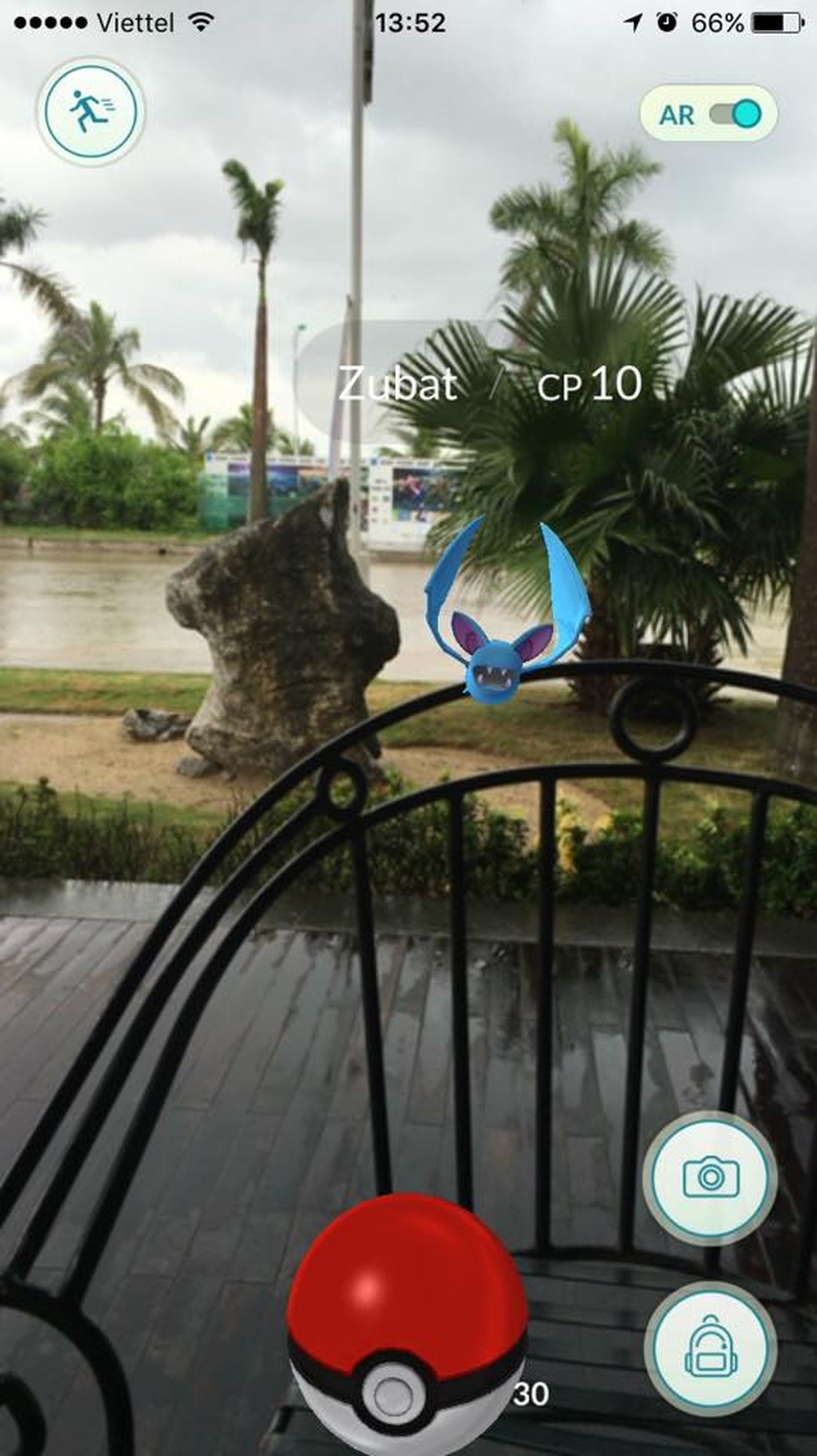 13612195_1776555282567432_3264340941602869104_n