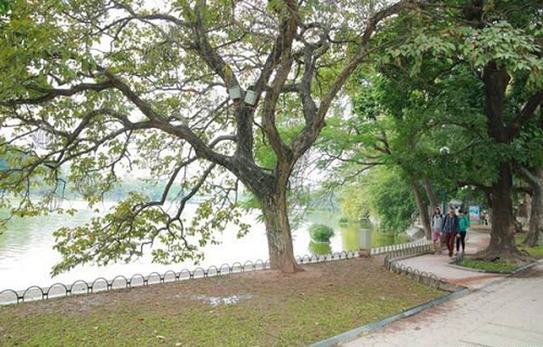 Dự-b&aacute;o-thời-tiết-ng&agrave;y-13112015