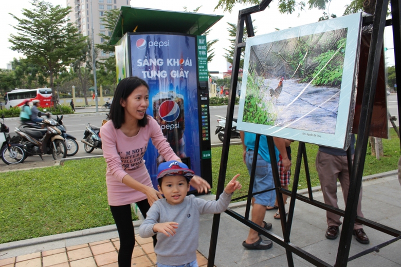 no-nuc-xem-trien-lam-anh-rung-sinh-thai-son-tra-ta