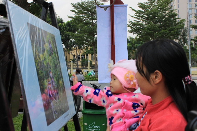 no-nuc-xem-trien-lam-anh-rung-sinh-thai-son-tra-ta