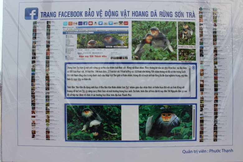 no-nuc-xem-trien-lam-anh-rung-sinh-thai-son-tra-ta