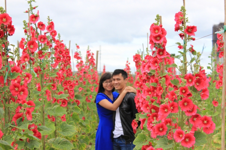 nam-thanh-nu-tu-do-sac-tai-vuong-hoa-huong-duong-o