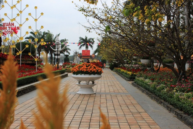chum-anh-da-nang-ron-rang-sac-xuan8.jpg