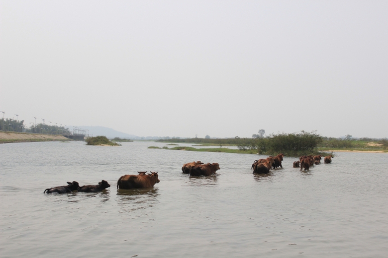 9-hoc-sinh-chet-duoi-se-lap-bien-canh-bao-doc-bo-s