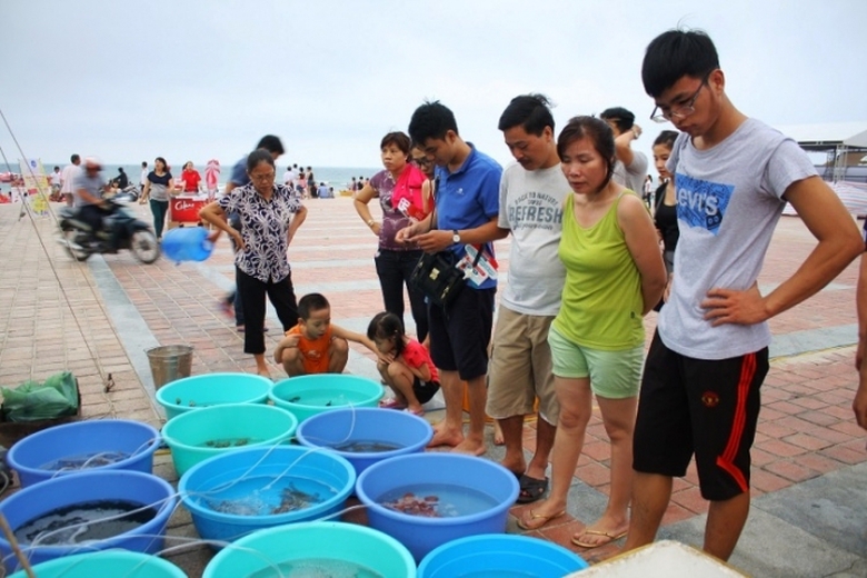 da-nang-kiem-nghiem-chat-che-truoc-kho-dua-hai-san