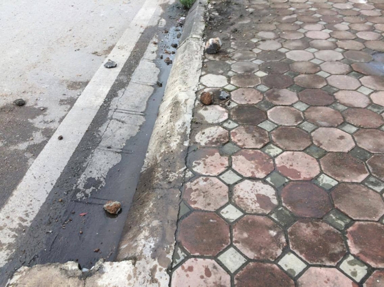 15033995_633001786869996_253052154_o