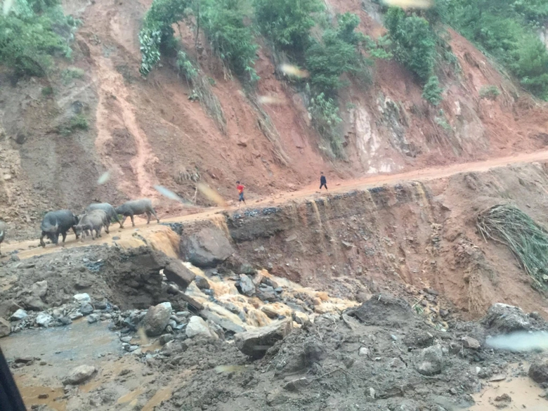 22472202_798971640273009_1715292588_o