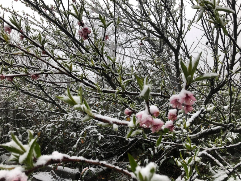 27537497_1695002643855286_52750861_o