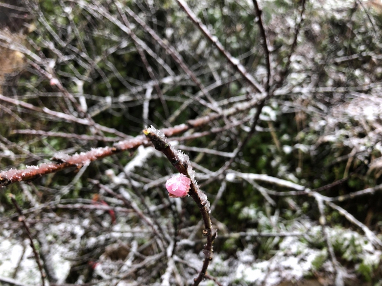 27537500_1695002583855292_251510392_o