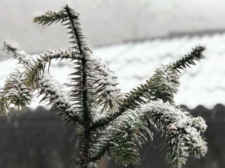 27537569_1695006267188257_604353581_o