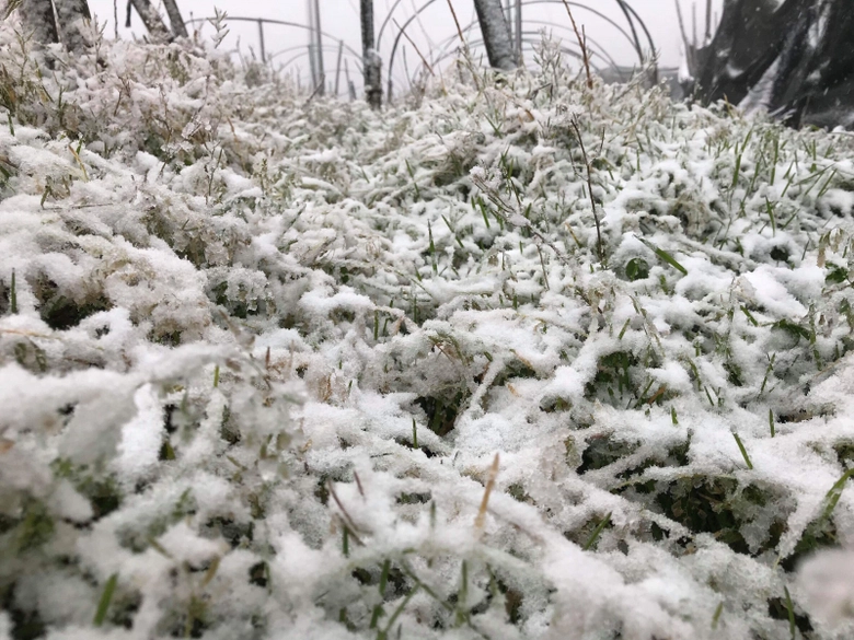 27604141_1695006273854923_396903161_o