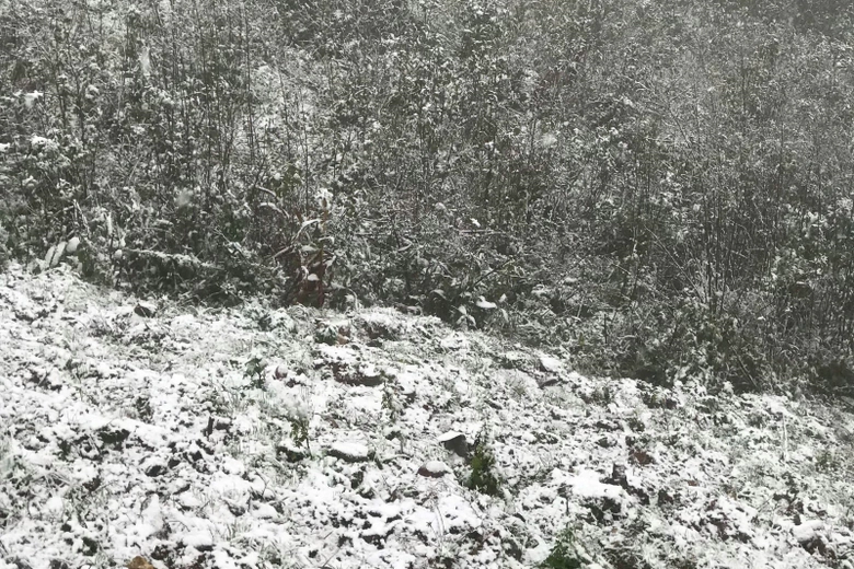 27653892_1695006297188254_416741722_o