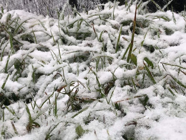 27604473_1695006307188253_799768192_o