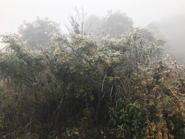 27746959_1793587944044632_686567493_o