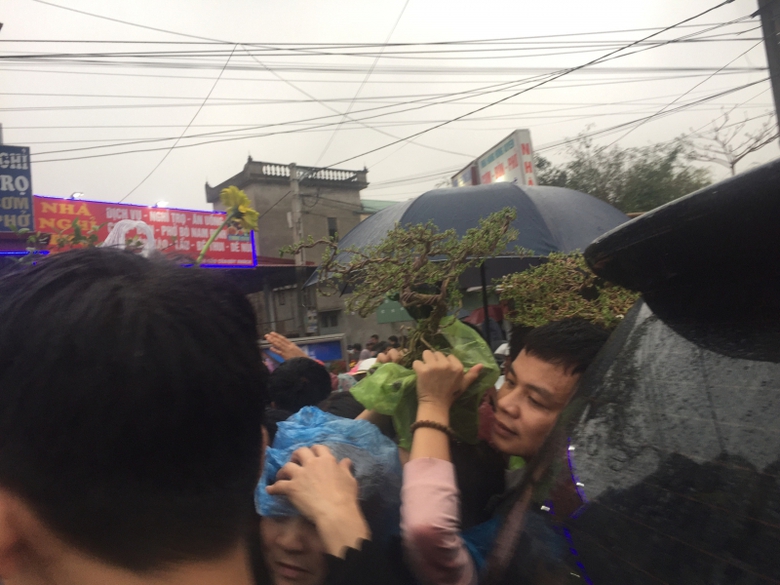 be39cb00868869d63099