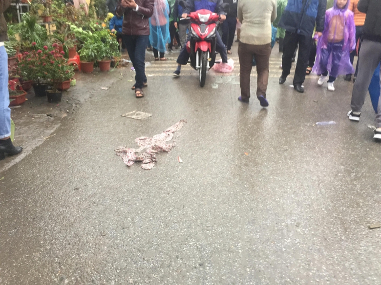 28340101_863674480469391_514535986_o