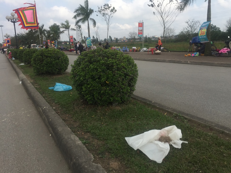 44D21513-6655-4803-9DA9-6310865E7372.