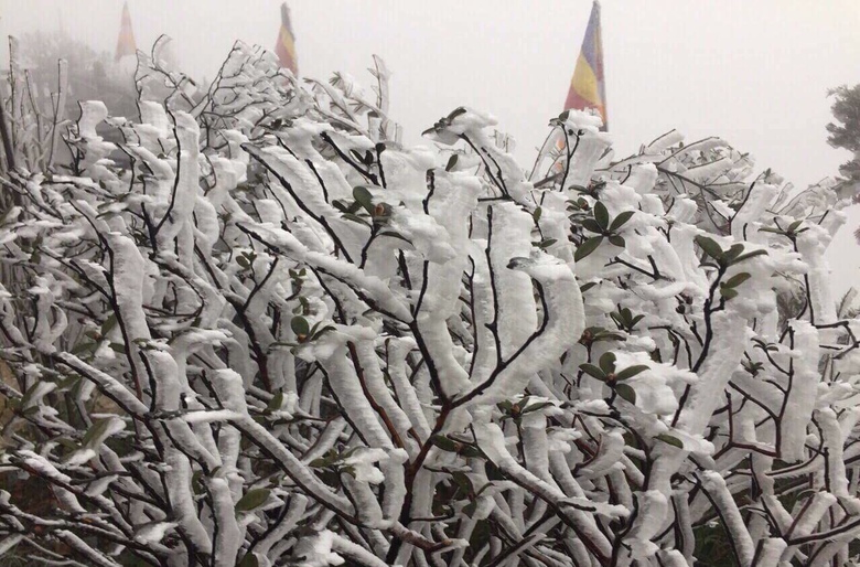 1322825A-2A1F-4735-810C-45C1B9D3B861.