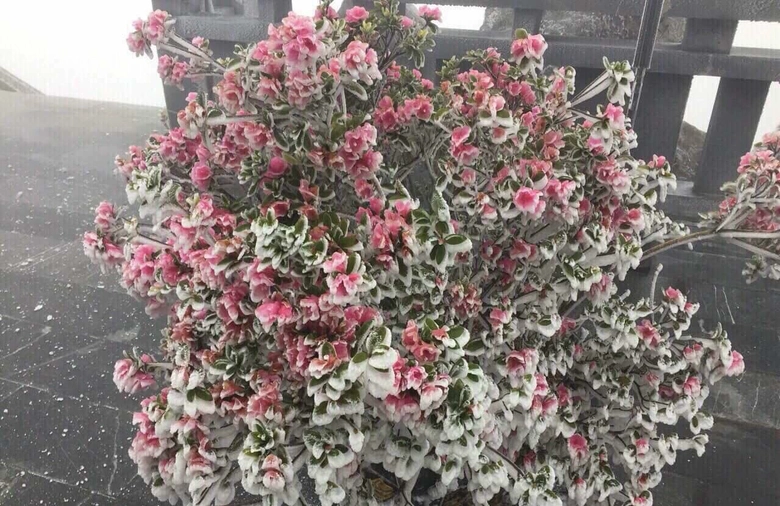 3ED5A9E0-9654-4A68-9DB6-EBB4C5C5CEFF.