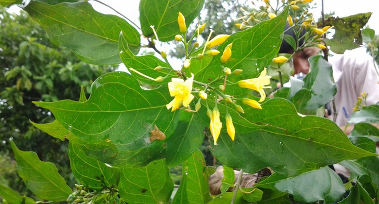 20141023111917-15228962183431613736987