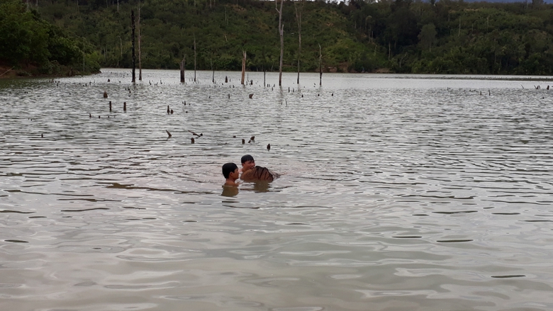 20180104_135052(0) (1)