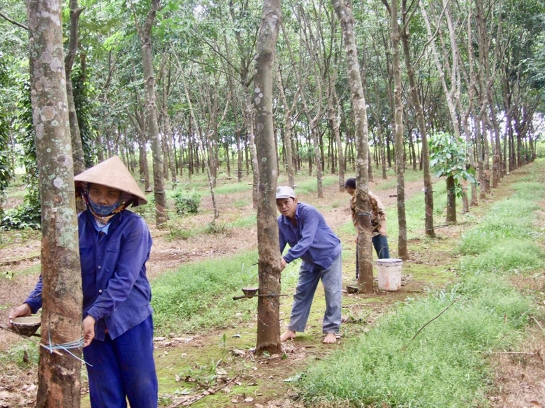 Vĩnh Linh sẽ l&agrave; trung t&acirc;m kinh tế khu vực ph&iacute;a Bắc tỉnh Quảng Trị