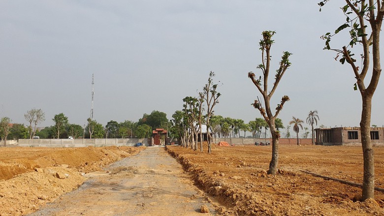 thanh hoa chi dao kiem tra xac minh xay dung khong phep cua cong ty dung minh