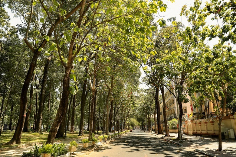 co mot sai gon vang ve ngoai suc tuong tuong